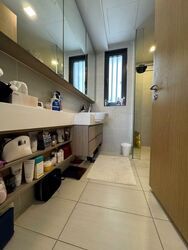 The Lakefront Residences (D22), Condominium #507588911
